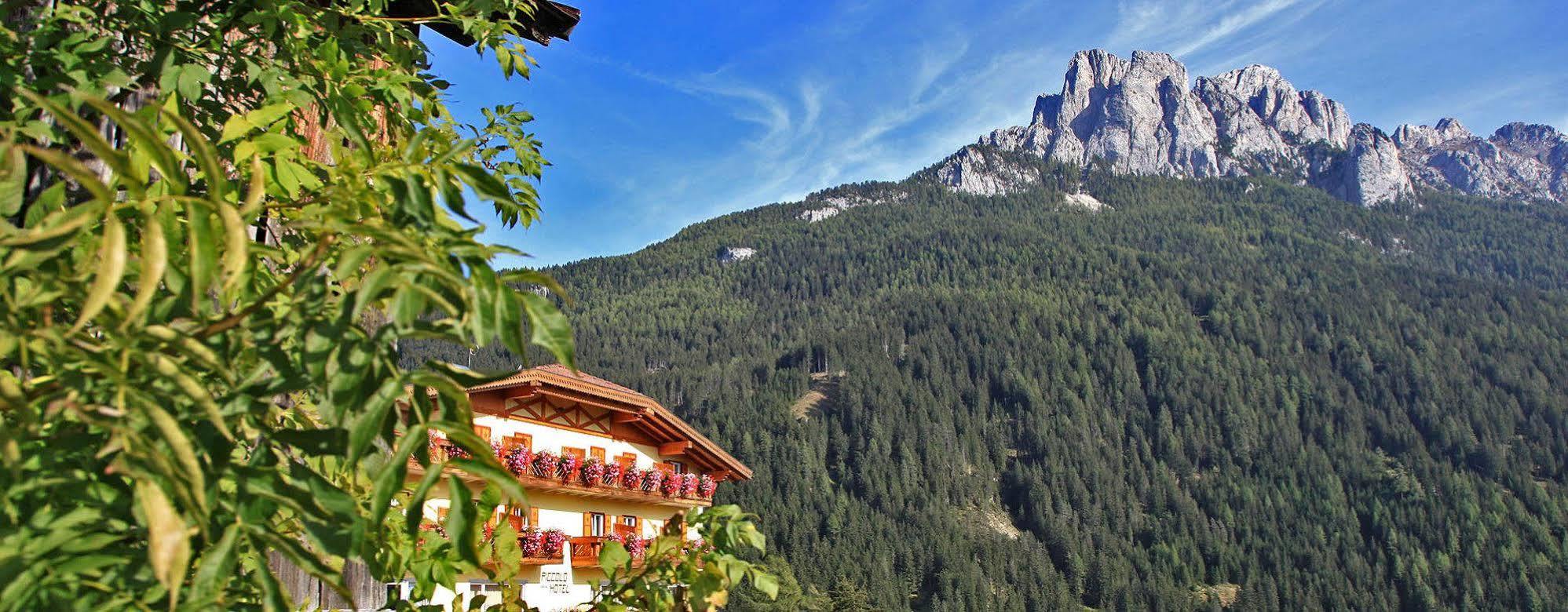 Al Piccolo Hotel Vigo di Fassa Kültér fotó